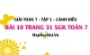 Giải bài 10 trang 31 Toán 7 Tập 1 SGK Cánh Diều
